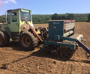 Drilling Autumn Fodder
