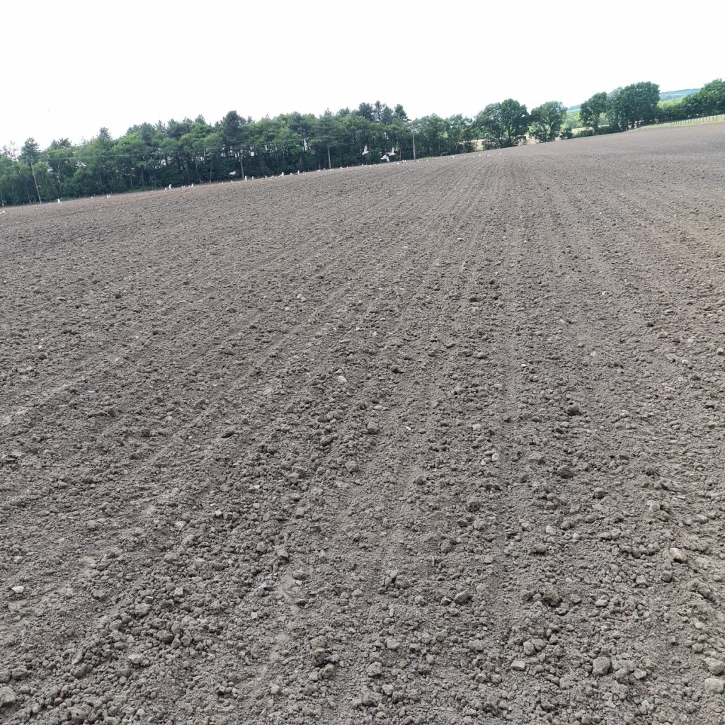 Seed be preparation