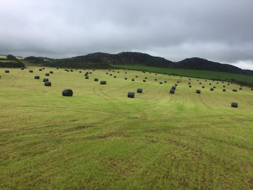 Silage Bales - Anglesey
